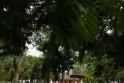 Inauguração Prainha ASMETO-25